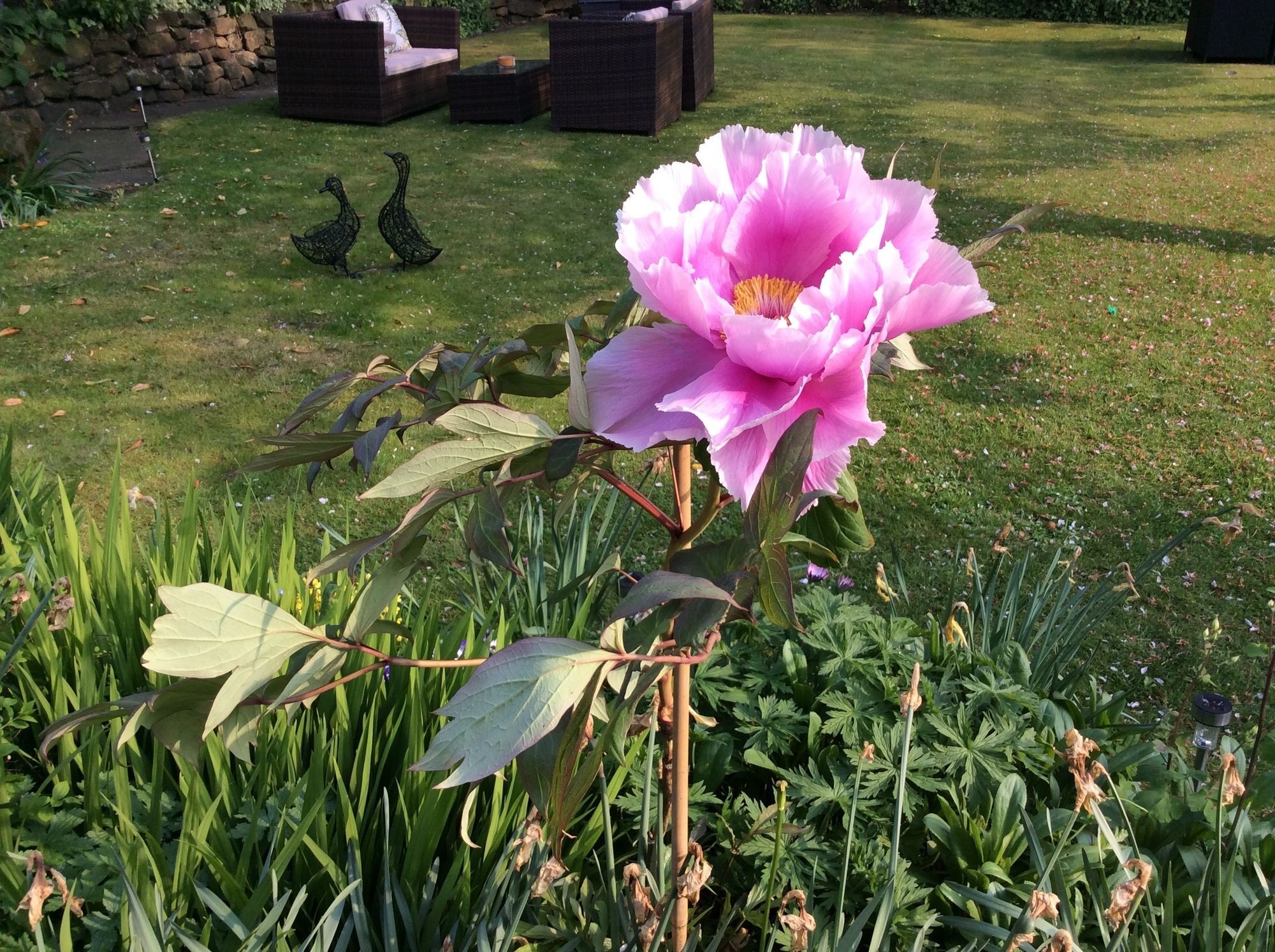 Willow Cottage B&B エイドン エクステリア 写真